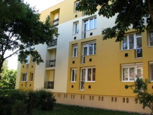 11252449_1113771555304711_5439675273409056626_n